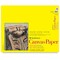 Strathmore 300 Series Canvas Paper Pad - 16" x 20", 10 Sheets
